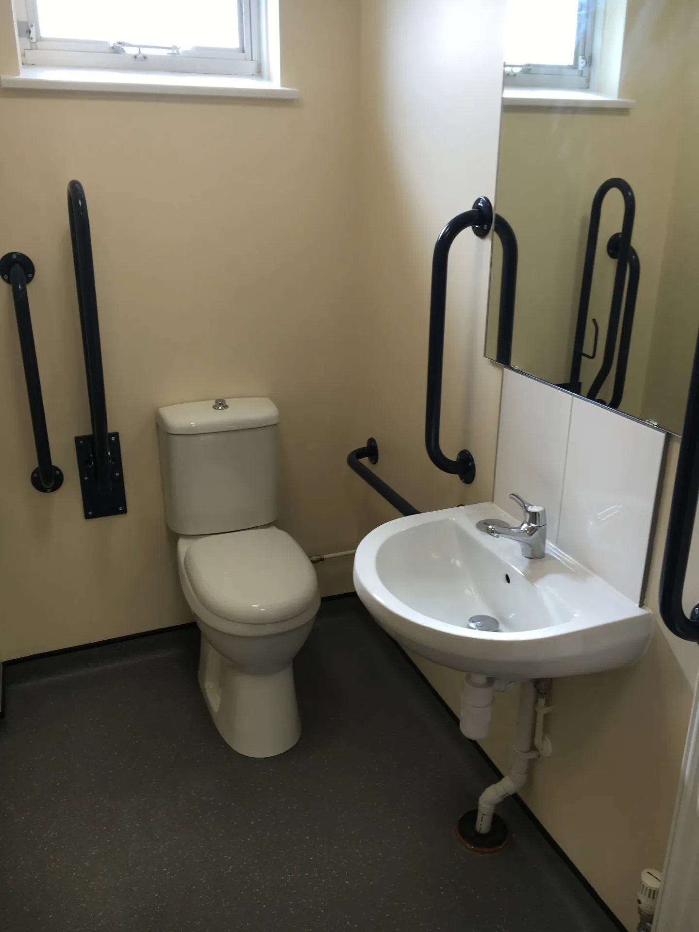 Accessible toilet with grab rails and basin